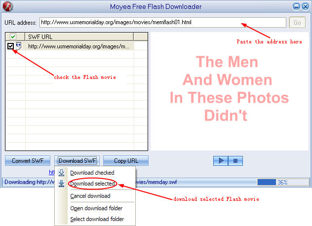 Download selected Flash files