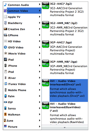 SWF Converter Mac: select output video format